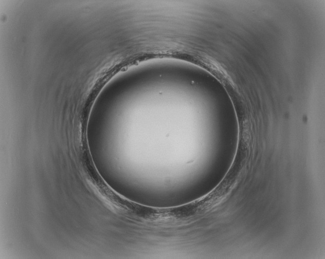 X0000060770589200511241756