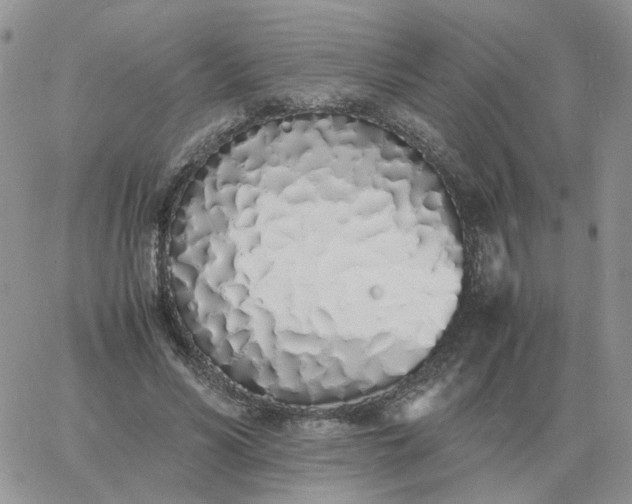 X0000060770590200511241756