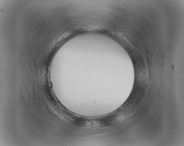 X0000060770591200511241756