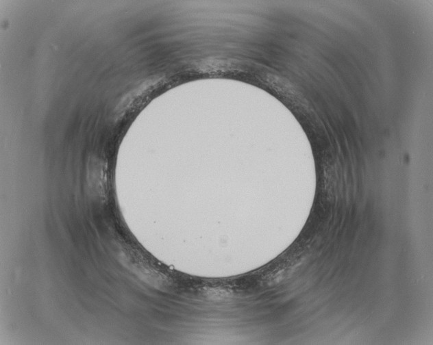 X0000060770592200511241755