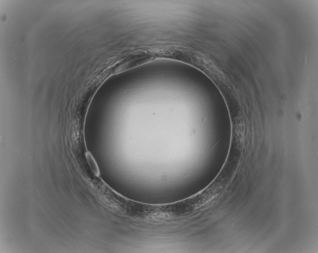 X0000060770593200511241755