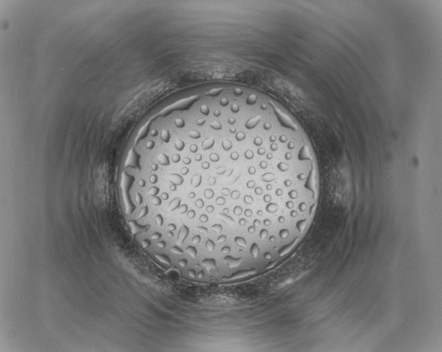 X0000060770594200511241755