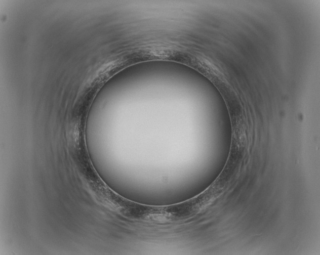 X0000060770595200511241755