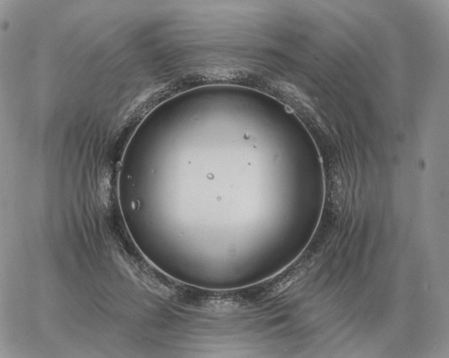 X0000060770596200511241755