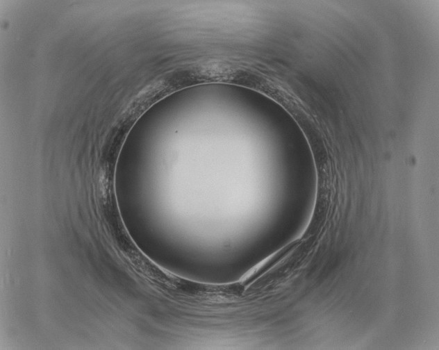 X0000060770597200511241755