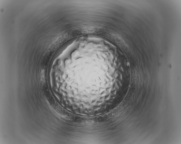 X0000060770598200511241755