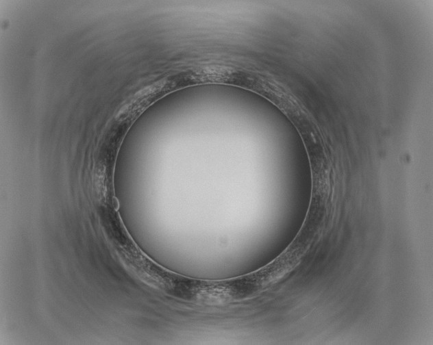 X0000060770599200511241755