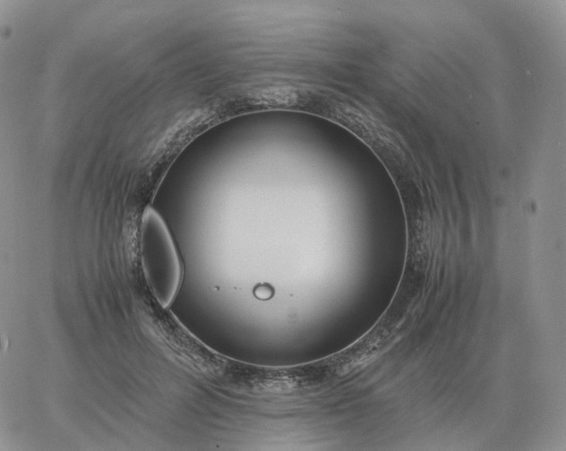 X0000060770600200511241755