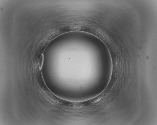 X0000060770601200511241755