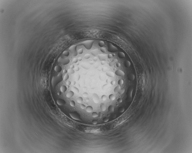 X0000060770602200511241755