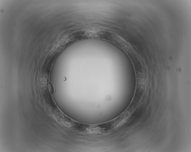 X0000060770603200511241755