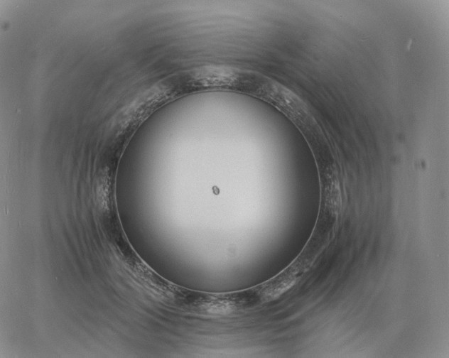 X0000060770604200511241755