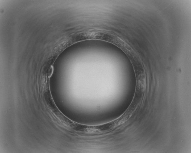 X0000060770605200511241755