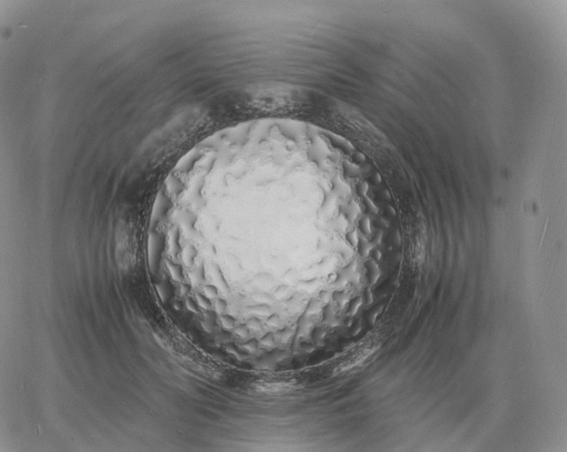 X0000060770606200511241755