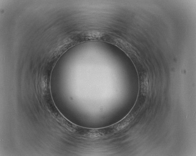 X0000060770608200511241755