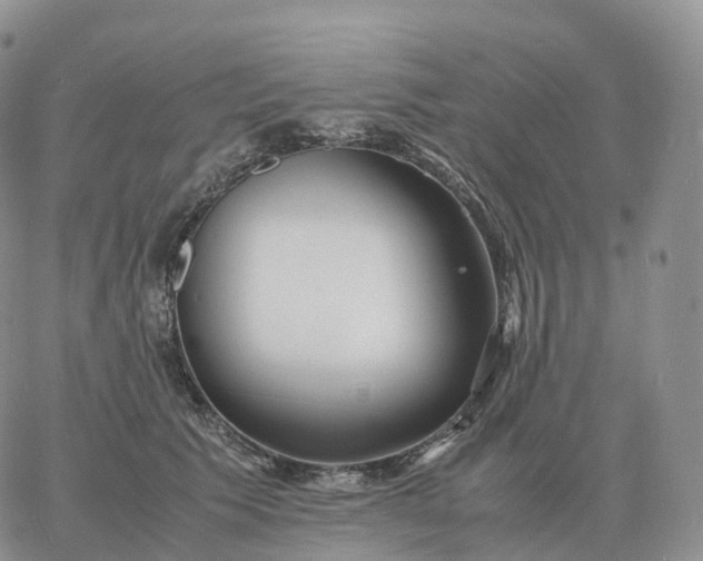 X0000060770609200511241755