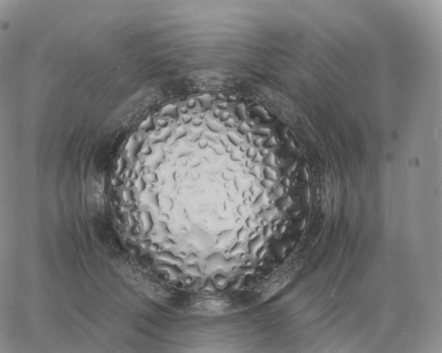 X0000060770610200511241755