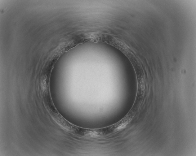 X0000060770611200511241755