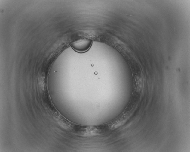 X0000060770612200511241755