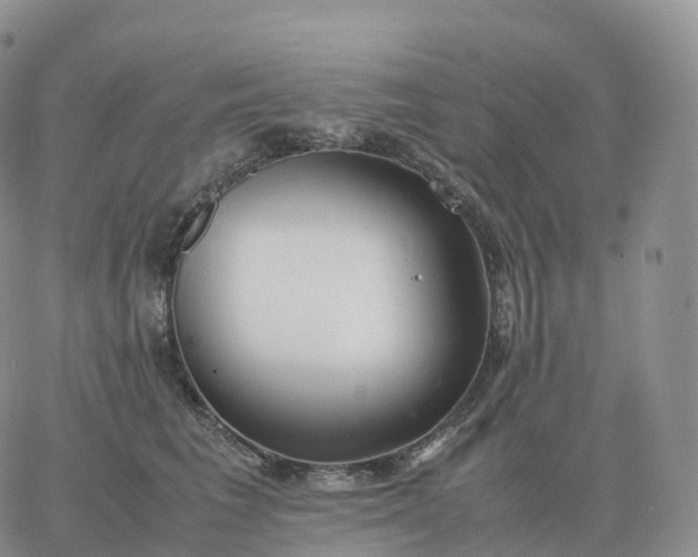 X0000060770613200511241755