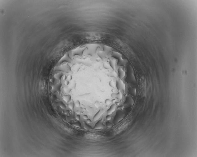 X0000060770614200511241755