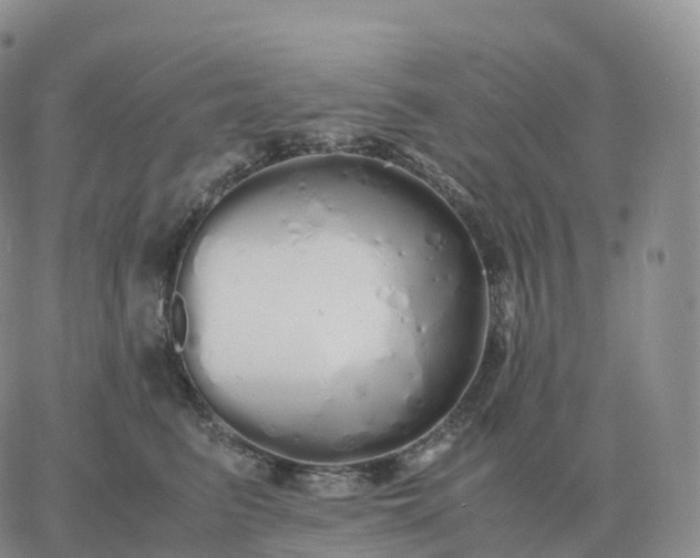 X0000060770615200511241755