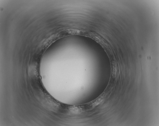 X0000060770616200511241755