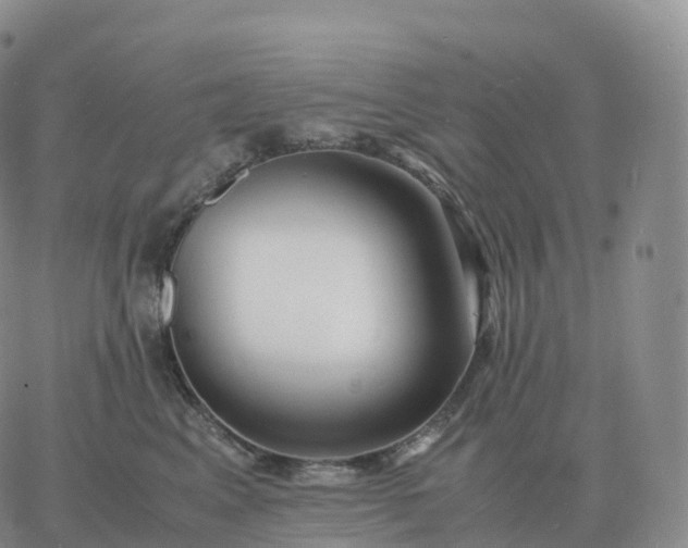 X0000060770617200511241755