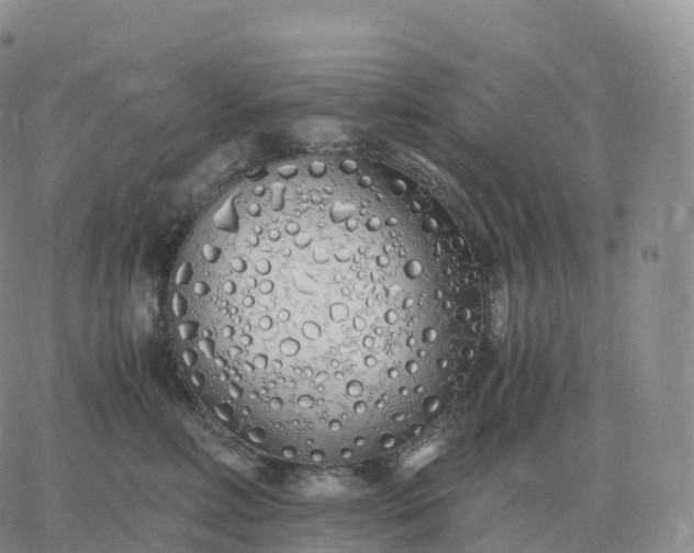 X0000060770618200511241755