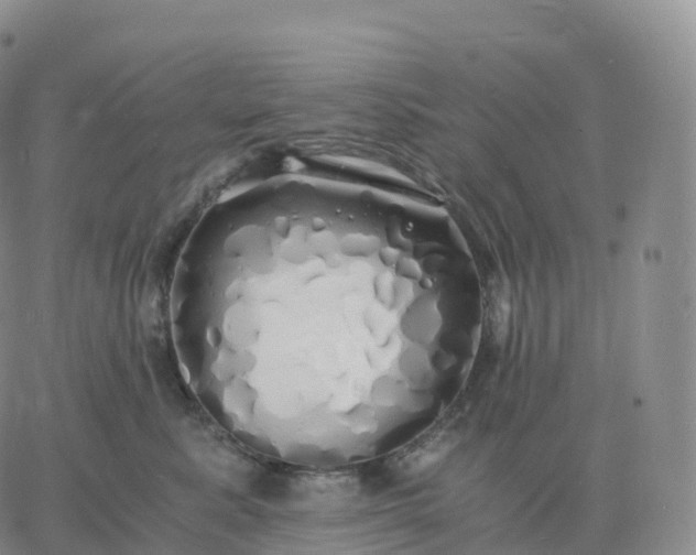 X0000060770619200511241755