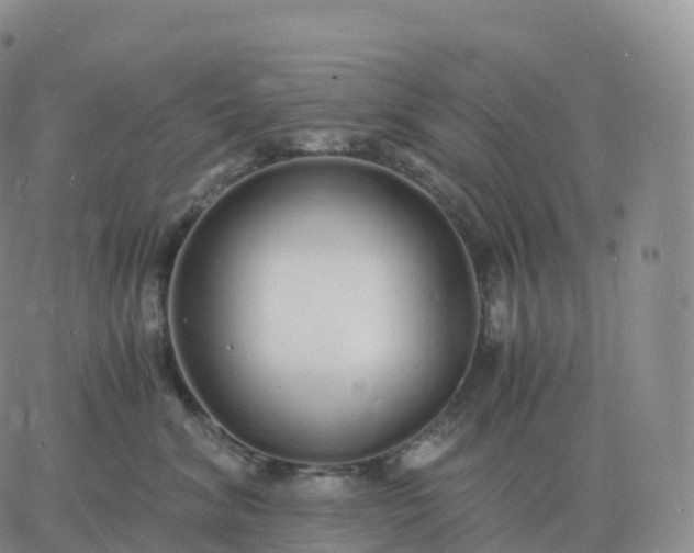 X0000060770620200511241755