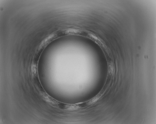 X0000060770621200511241755