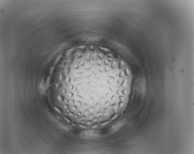 X0000060770622200511241755