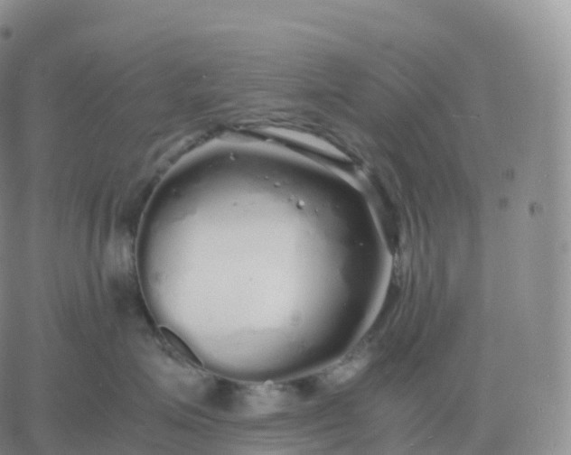 X0000060770623200511241755