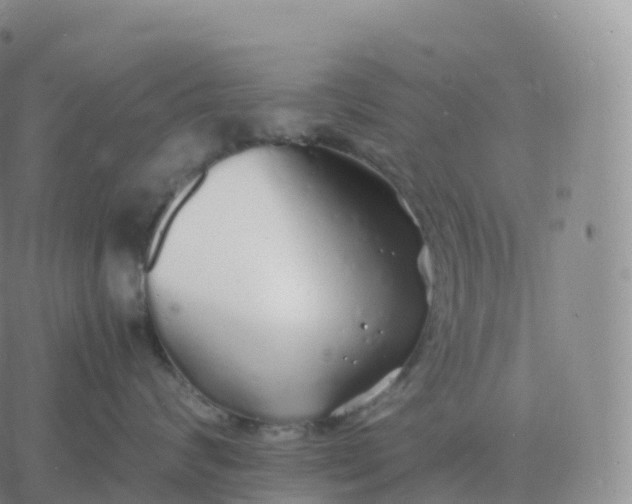 X0000060770624200511241755