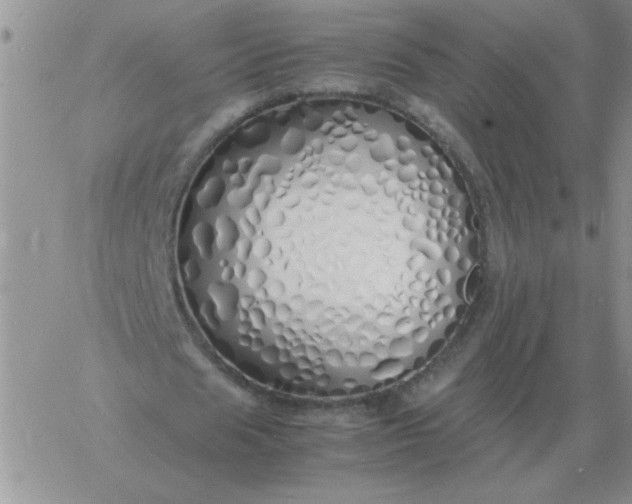 X0000060770625200511241754