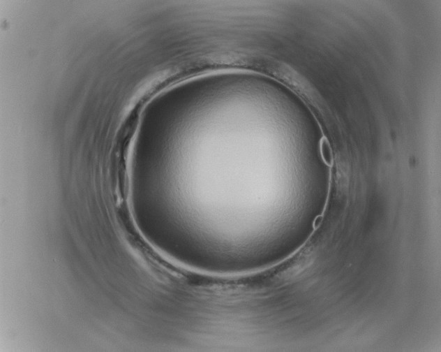 X0000060770626200511241754