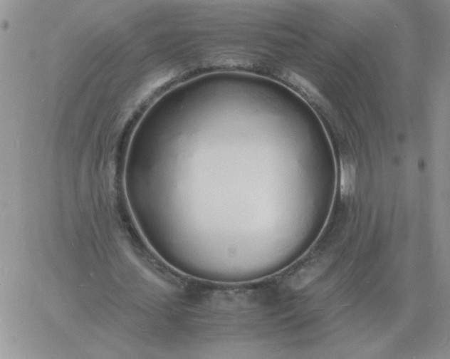 X0000060770627200511241754