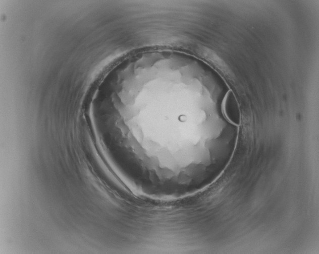 X0000060770628200511241754