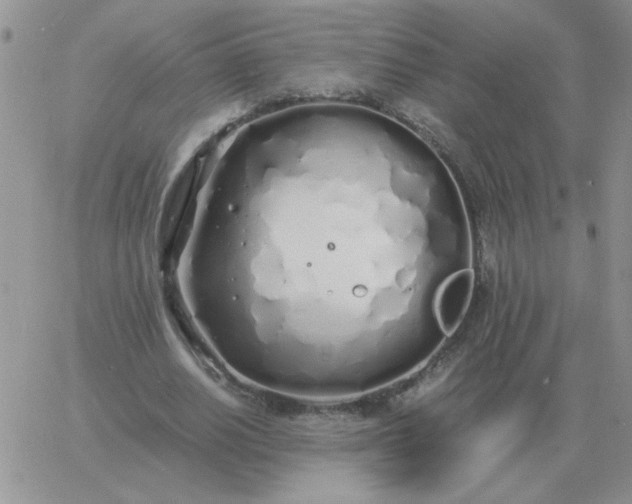 X0000060770630200511241754