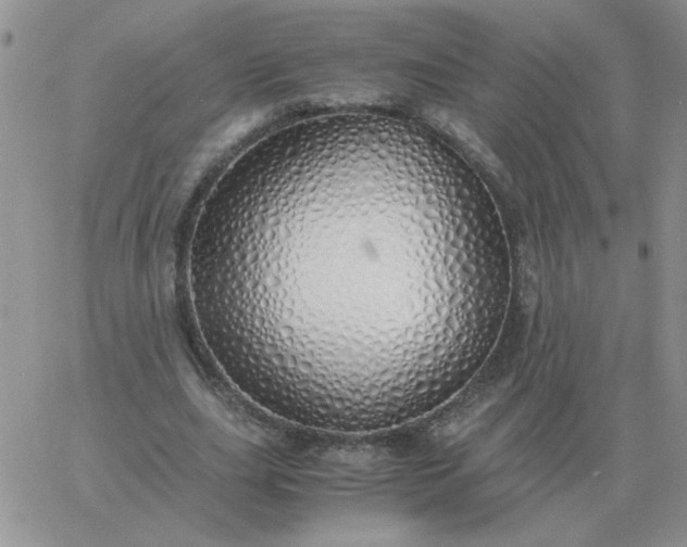 X0000060770631200511241754