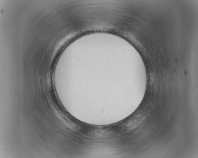 X0000060770632200511241754