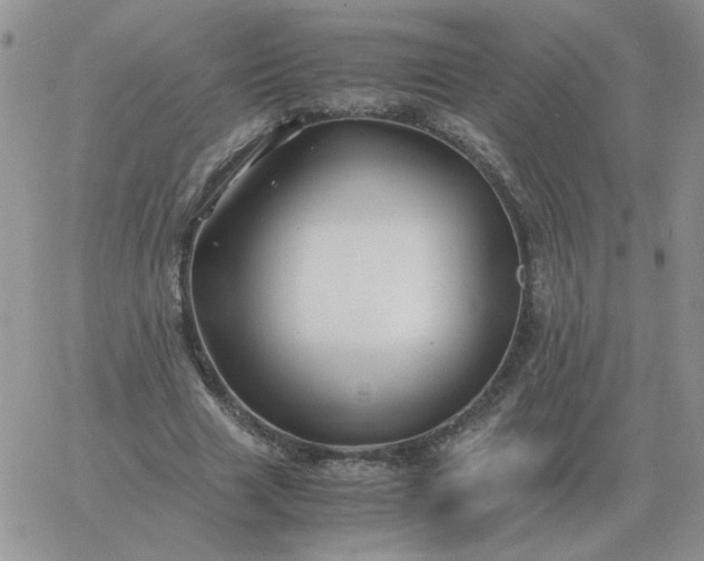 X0000060770633200511241754