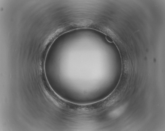 X0000060770634200511241754