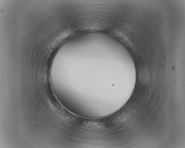 X0000060770635200511241754