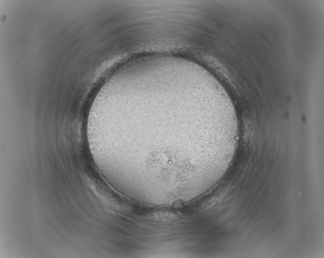 X0000060770636200511241754