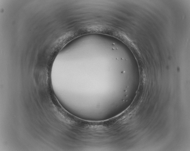 X0000060770637200511241754