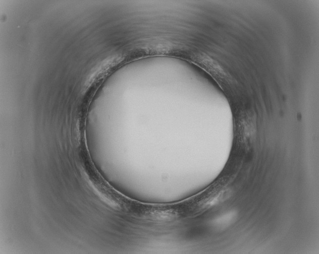 X0000060770638200511241754