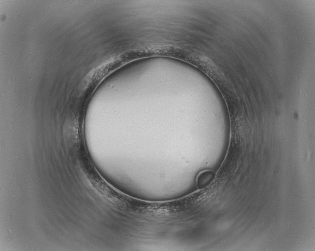 X0000060770640200511241754