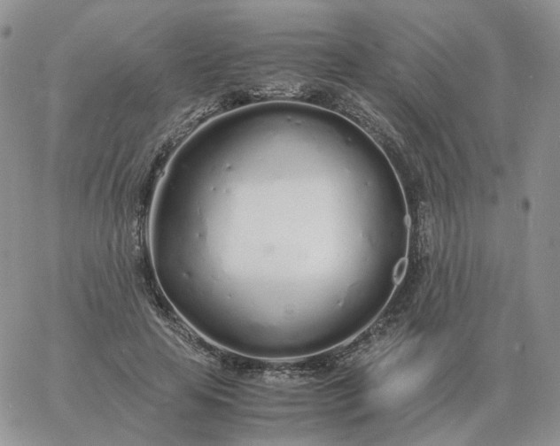 X0000060770641200511241754